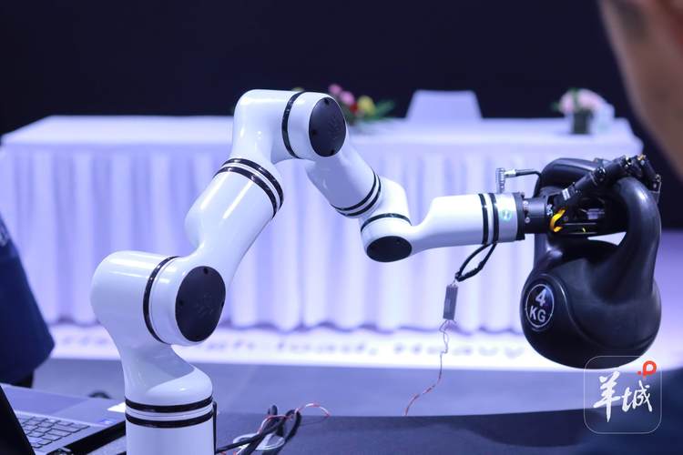 發布123款新產品，融資14.81億元 2025世界機器人大會展現行業強勁動能